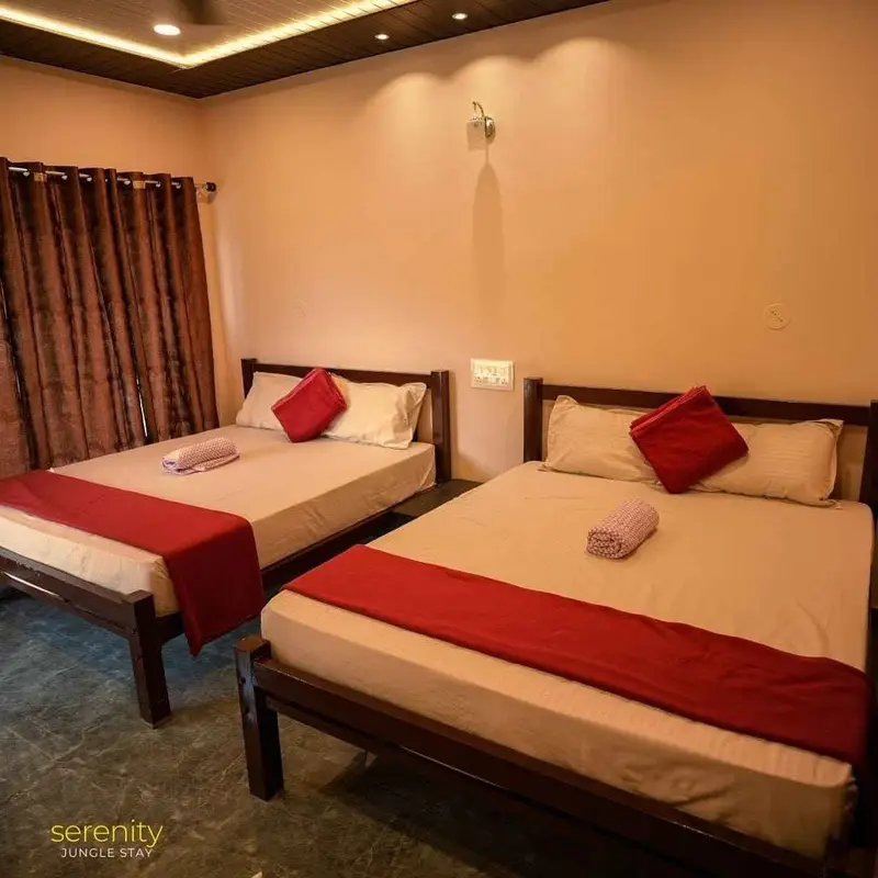 Deluxe Room at Serenity Jungle Stay